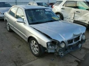 Automatic Transmission 6 Cylinder Fits 02-06 MAGENTIS 757295