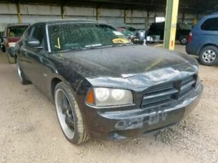 Passenger Right Tail Light Fits 06-08 CHARGER 1146553
