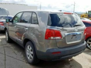  Rear Drive Shaft 2.4L 4 Cylinder Fits 11-13 SORENTO 1143051